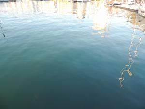2022 07 14 LA SEYNE SUR MER (1)